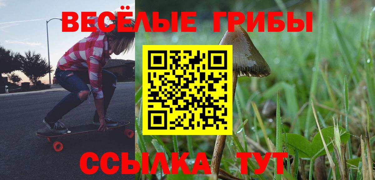 Псилоцибиновые грибы Psilocybine cubensis Пенза