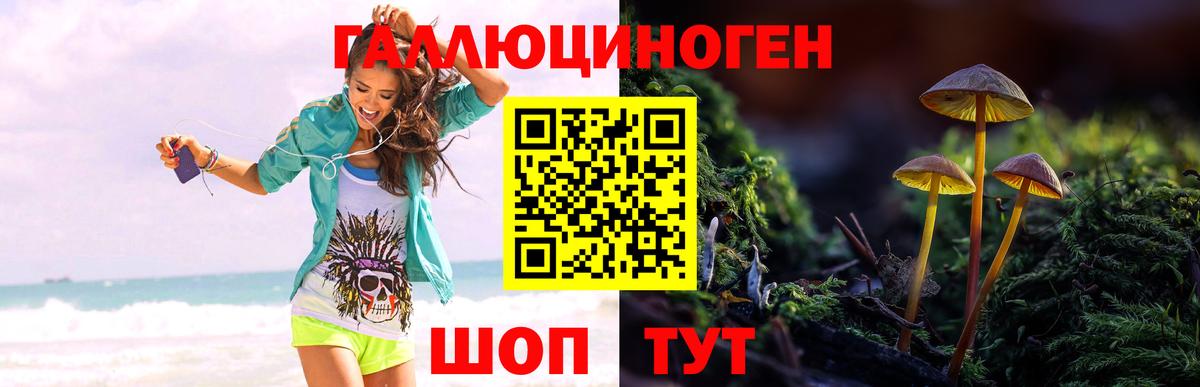 Галлюциногенные грибы GOLDEN TEACHER  Вход с VPN  Пенза 